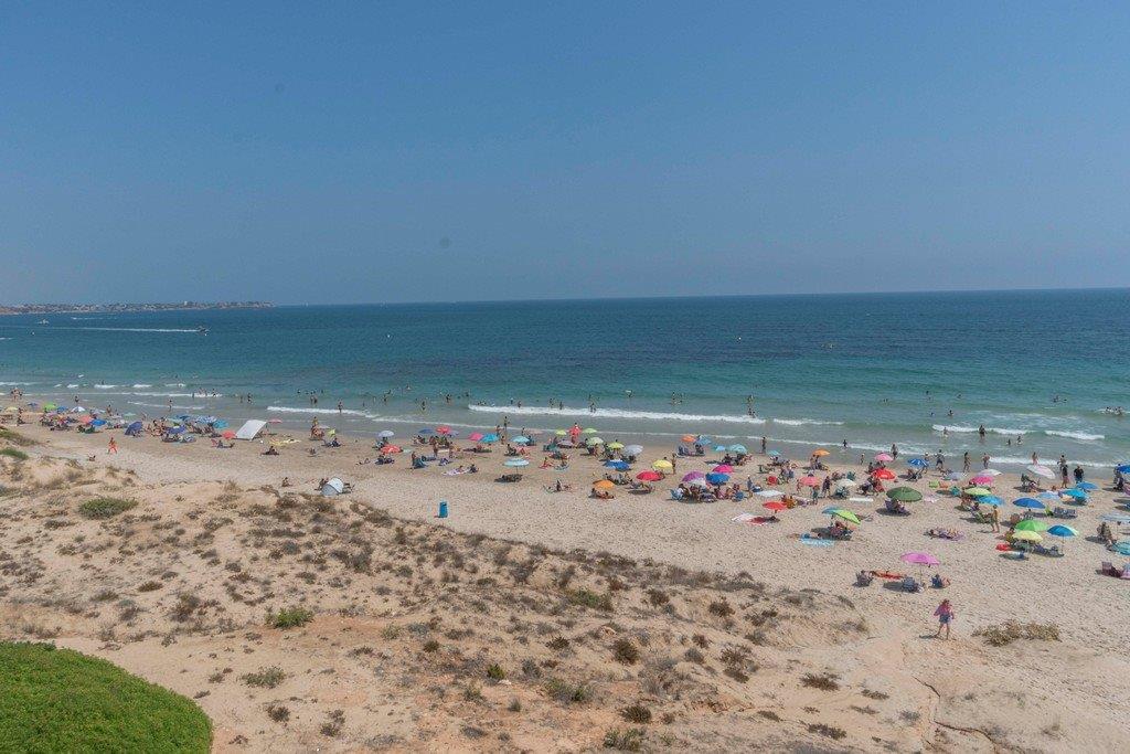 mil palmeras (4)